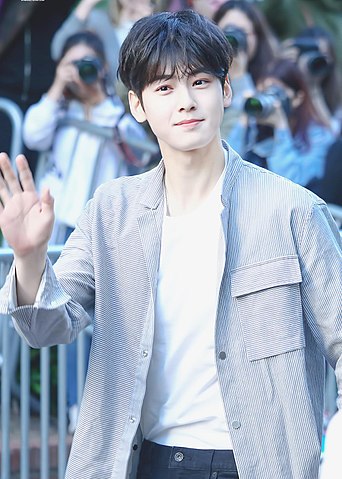 Cha Eun-woo